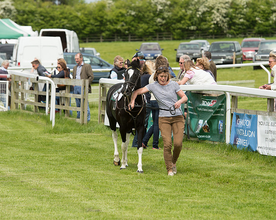 Pony Race - 1 (9 of 49).jpg