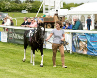 Pony Race - 1 (11 of 49).jpg