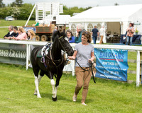 Pony Race - 1 (12 of 49).jpg