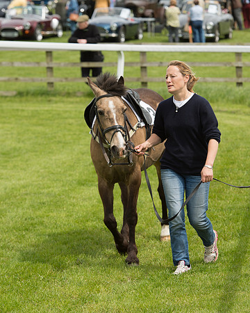Pony Race - 1 (14 of 49).jpg