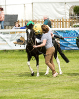 Pony Race - 1 (19 of 49).jpg