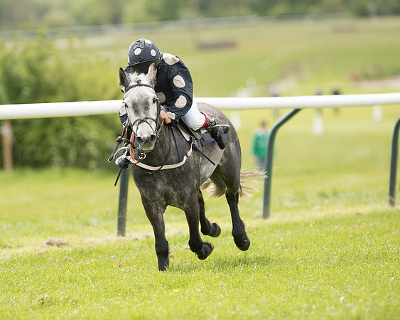 Pony Race - 1 (38 of 49).jpg
