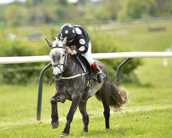Pony Race - 1 (39 of 49).jpg