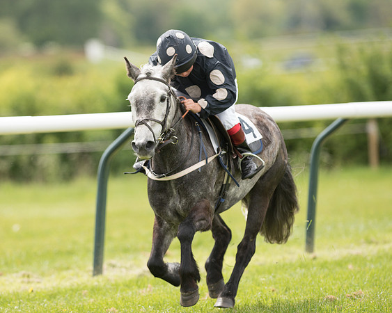 Pony Race - 1 (40 of 49).jpg