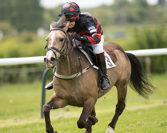 Pony Race - 1 (41 of 49).jpg