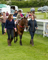 Pony Race - 2 (9 of 77).jpg