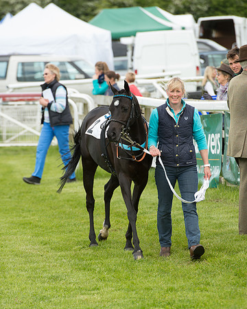 Pony Race - 2 (11 of 77).jpg