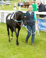 Pony Race - 2 (13 of 77).jpg