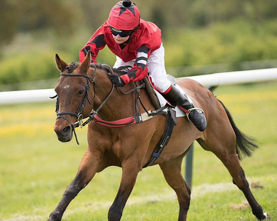 Pony Race - 2 (61 of 77).jpg