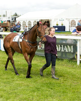 Pony Race - 3 (2 of 80).jpg