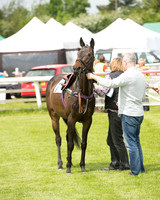 Pony Race - 3 (3 of 80).jpg
