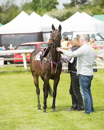 Pony Race - 3 (3 of 80).jpg