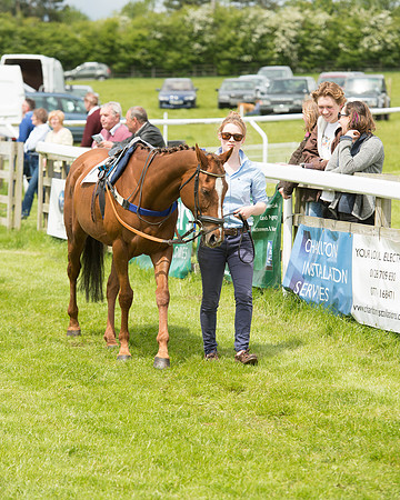 Pony Race - 3 (4 of 80).jpg