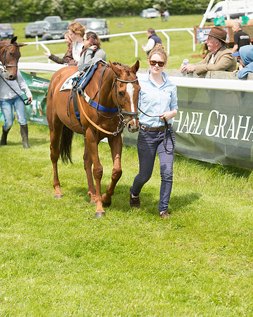 Pony Race - 3 (5 of 80).jpg