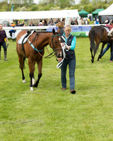 Pony Race - 3 (8 of 80).jpg