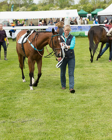 Pony Race - 3 (8 of 80).jpg