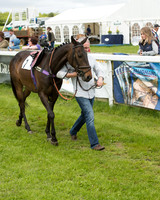 Pony Race - 3 (10 of 80).jpg