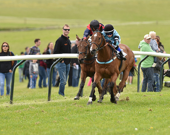 Pony Race - 3 (40 of 80).jpg