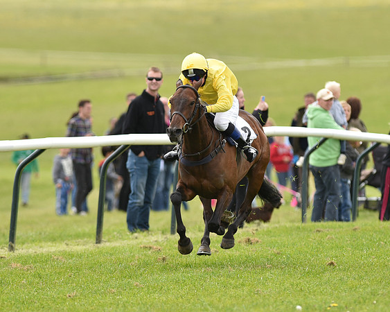 Pony Race - 3 (49 of 80).jpg