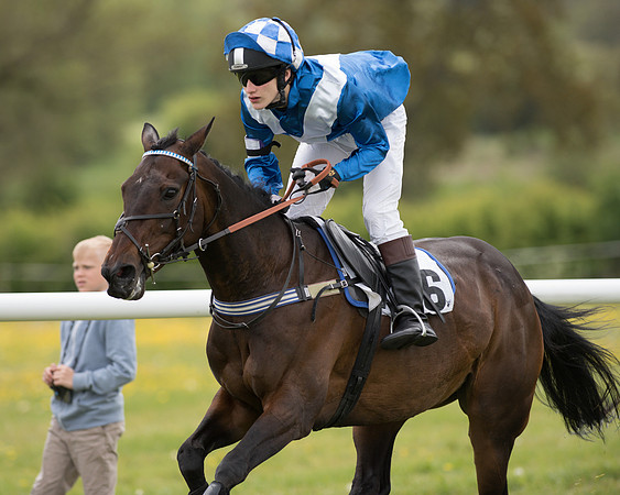 Pony Race - 3 (52 of 80).jpg
