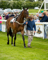 Race 1 - Hunt Members (4 of 86).jpg