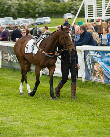 Race 1 - Hunt Members (6 of 86).jpg