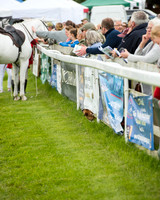 Race 1 - Hunt Members (10 of 86).jpg
