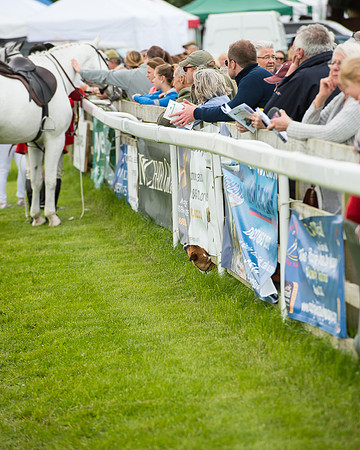 Race 1 - Hunt Members (10 of 86).jpg