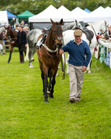 Race 1 - Hunt Members (11 of 86).jpg