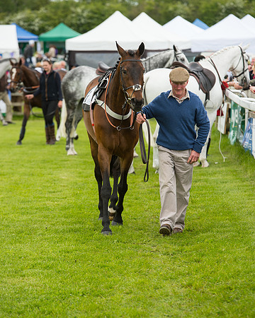Race 1 - Hunt Members (11 of 86).jpg