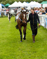 Race 1 - Hunt Members (13 of 86).jpg