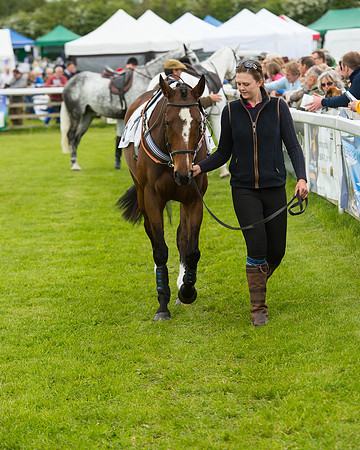 Race 1 - Hunt Members (13 of 86).jpg
