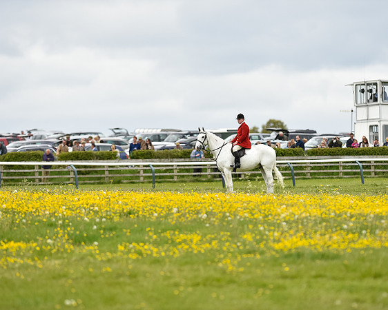Race 1 - Hunt Members (30 of 86).jpg