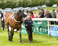 Race 2 - Aga Intermediate (5 of 125).jpg