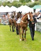 Race 2 - Aga Intermediate (10 of 125).jpg