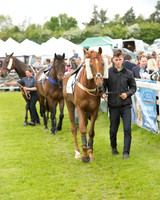 Race 2 - Aga Intermediate (11 of 125).jpg
