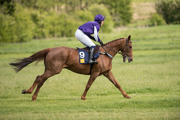 Race 4 - Novice Riders (34 of 133).jpg