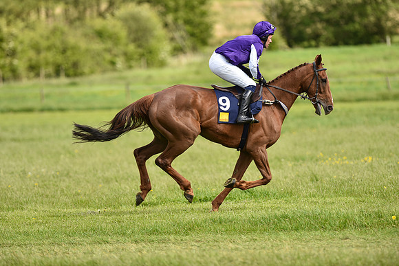 Race 4 - Novice Riders (35 of 133).jpg