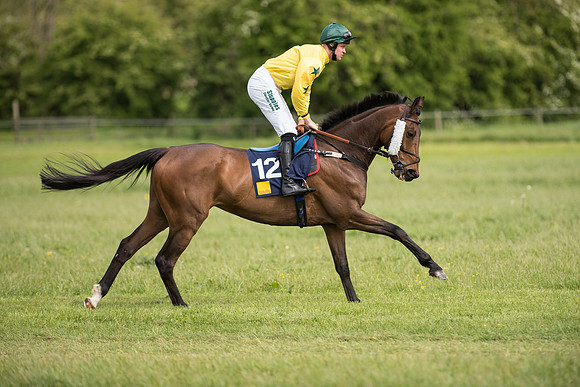 Race 4 - Novice Riders (39 of 133).jpg