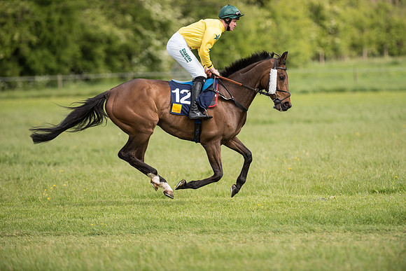 Race 4 - Novice Riders (41 of 133).jpg
