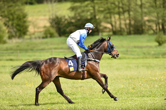 Race 4 - Novice Riders (51 of 133).jpg