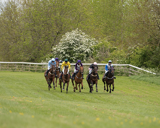 Race 4 - Novice Riders (85 of 133).jpg