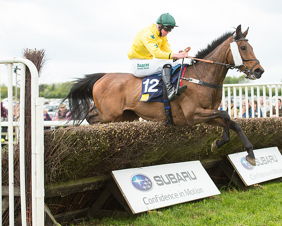 Race 4 - Novice Riders (100 of 133).jpg