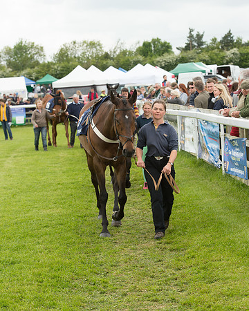 Race 5 - Subaru Restricted (11 of 126).jpg