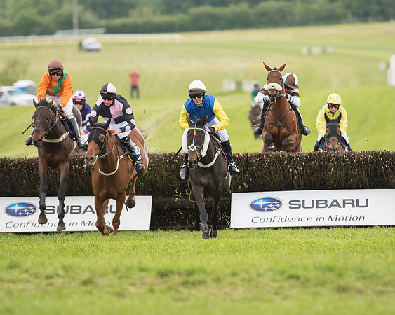 Race 5 - Subaru Restricted (81 of 126).jpg