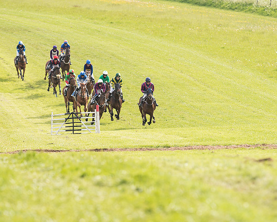 Race 6 - Open Maiden (6 of 107).jpg