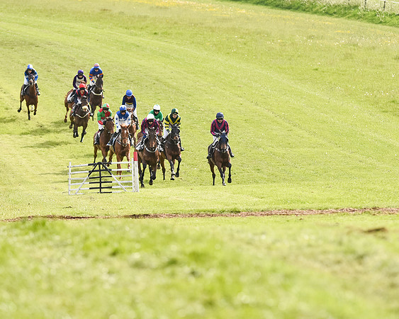 Race 6 - Open Maiden (7 of 107).jpg