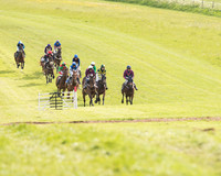 Race 6 - Open Maiden (8 of 107).jpg