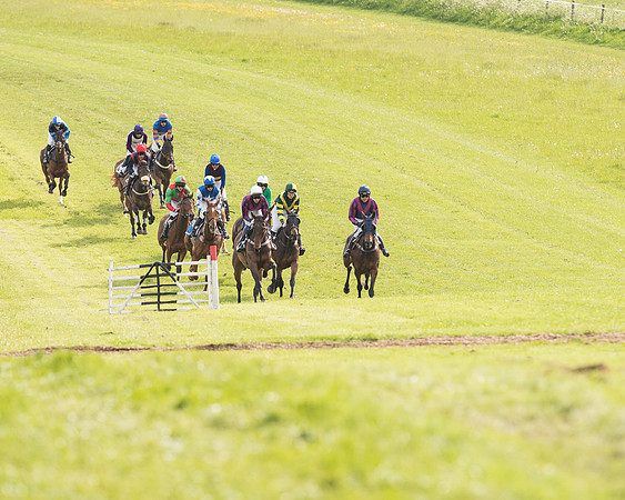Race 6 - Open Maiden (8 of 107).jpg