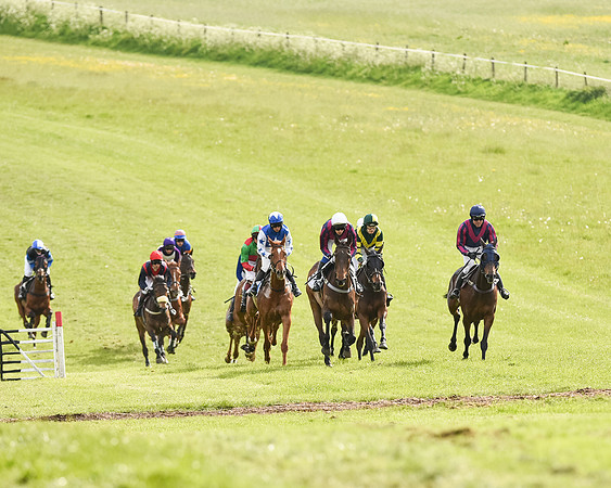 Race 6 - Open Maiden (9 of 107).jpg